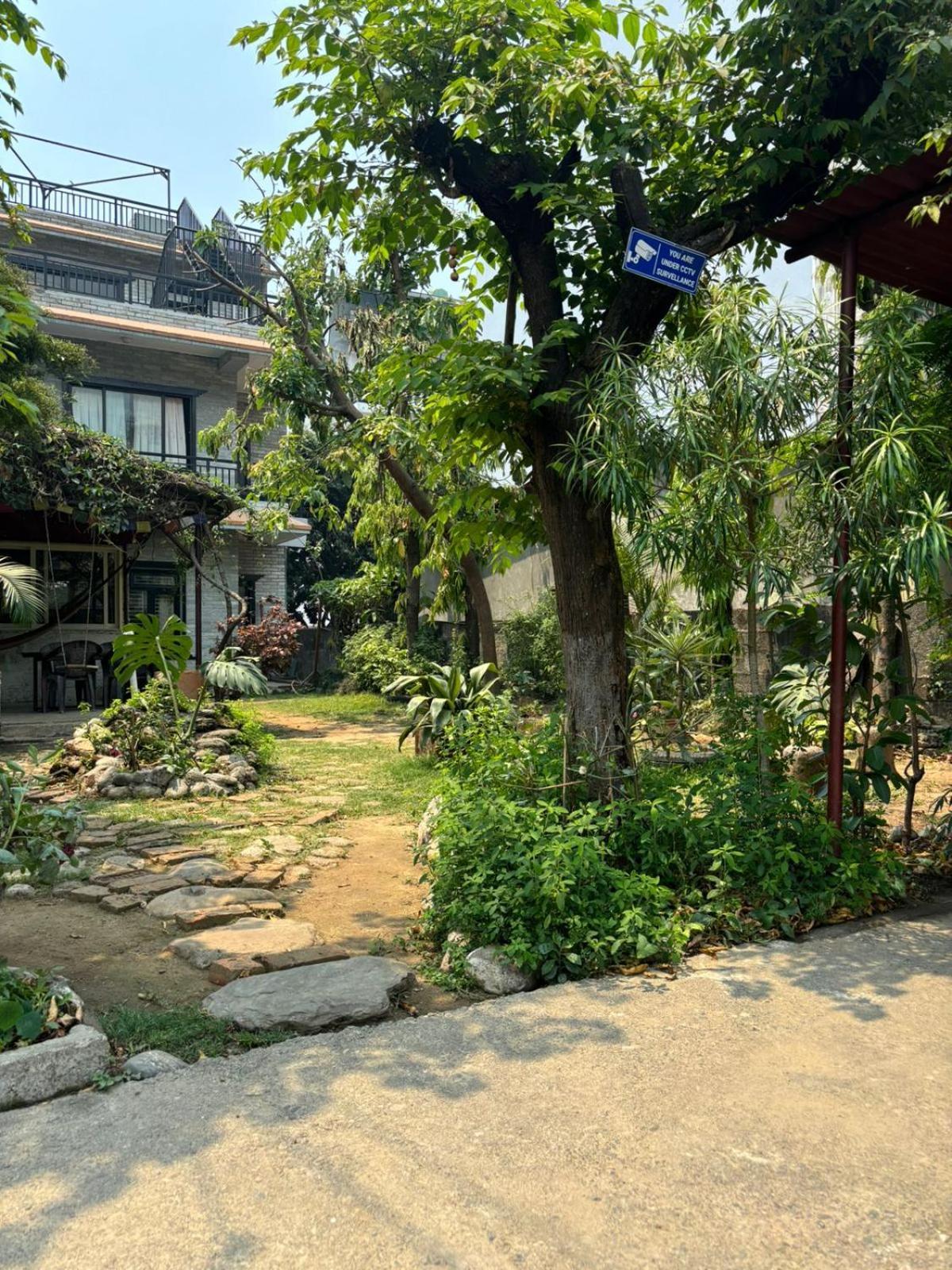 Cherry Garden Ποκάρα Εξωτερικό φωτογραφία
