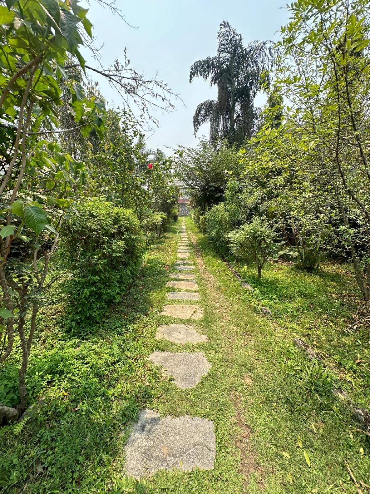 Cherry Garden Ποκάρα Εξωτερικό φωτογραφία