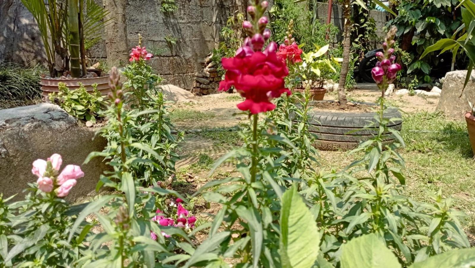 Cherry Garden Ποκάρα Εξωτερικό φωτογραφία